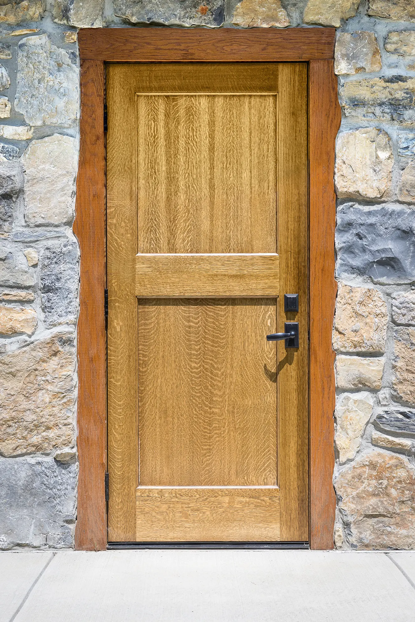 A wooden door with a rectangular panel design and dark metal handle is set in a stone wall with a concrete step in front.